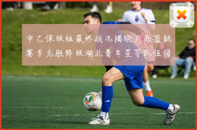 中乙保级组最终战况揭晓广西蓝航赛季无胜降级湖北青年星等队伍同遭降级