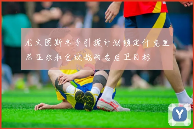 尤文图斯冬季引援计划锁定什克里尼亚尔和金玟哉两名后卫目标