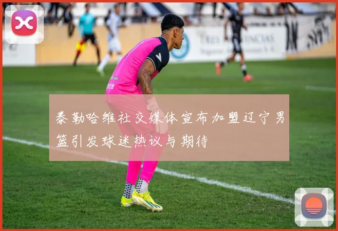 泰勒哈维社交媒体宣布加盟辽宁男篮引发球迷热议与期待