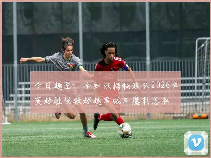 今日趣图：冷知识揭秘狼队2026年英超胜场数超越军城车魔刺总和