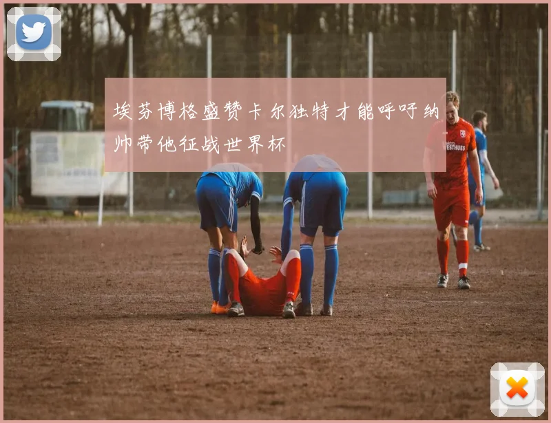 埃芬博格盛赞卡尔独特才能呼吁纳帅带他征战世界杯