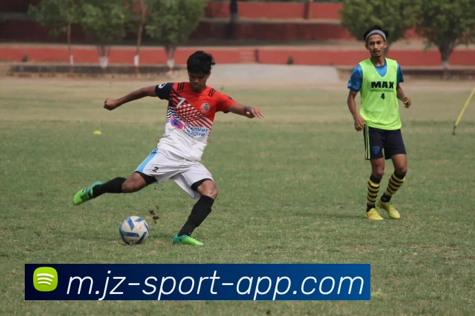 九州体育平台生态图